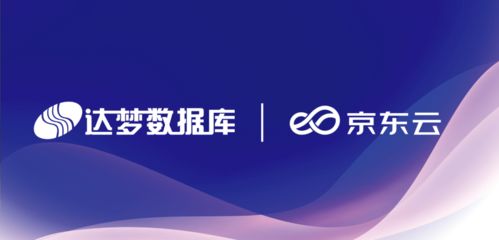 国产数据库龙头达梦携手“云筑计划”，共拓信息系统软件合作新篇章